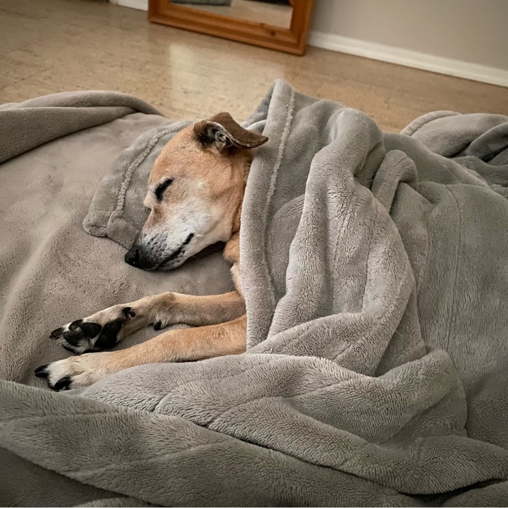 Meet your Posher, Jose